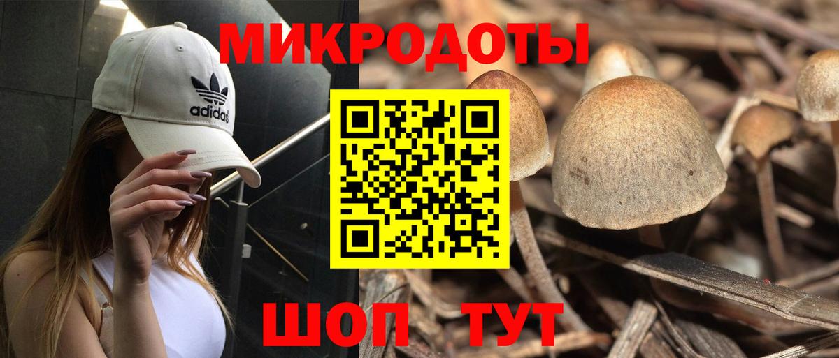 Псилоцибиновые грибы Psilocybine cubensis  Вход с VPN  Алатырь 